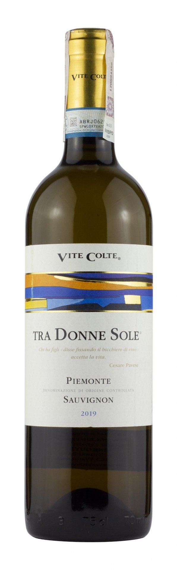 Vite Colte Piemonte Sauvignon Tra Donne Sole