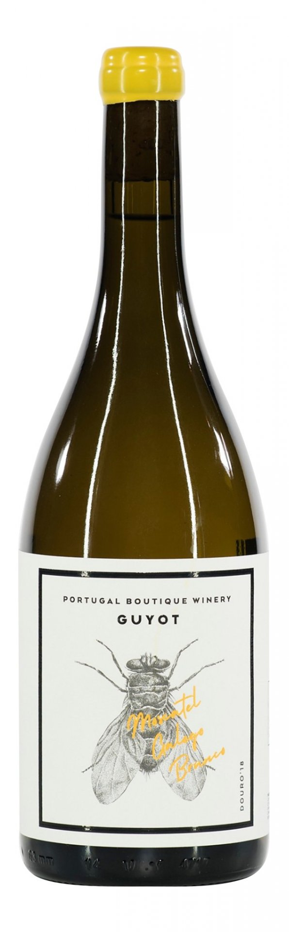 Guyot Moscatel Galego Branco